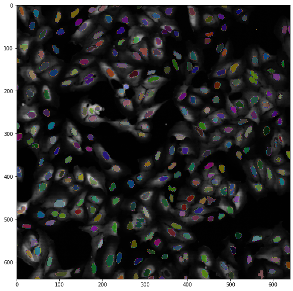 _images/image_processing_26_0.png