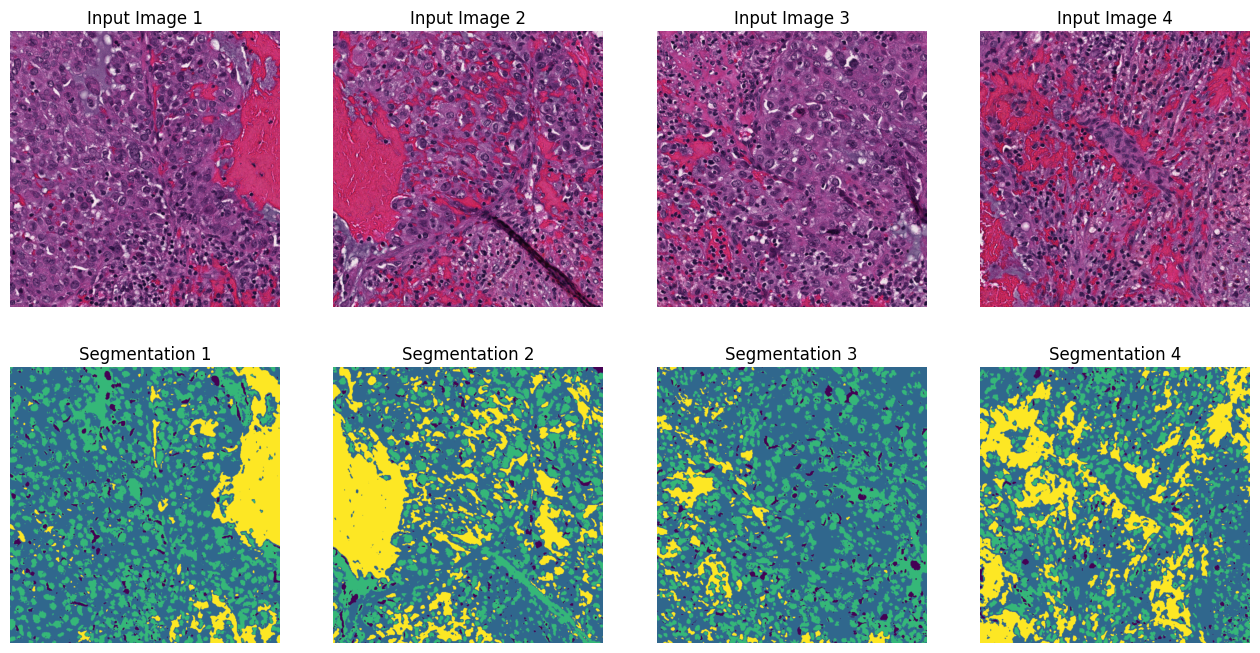 Using Convpaint & Python - Introduction — Convpaint