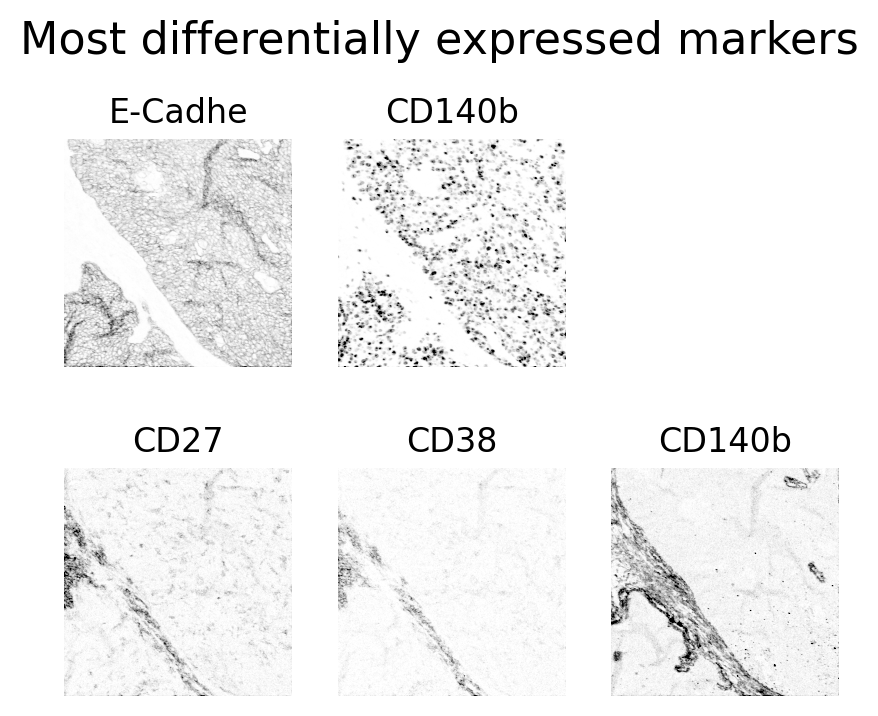../_images/aaf1a3454591f89cd966fbcaf77ba07aeed9db10a889ac44eb53817b85d332ac.png